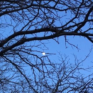 Meet your Posher, Kassidy